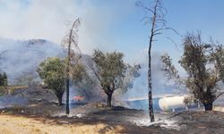 İzmir'de ormanlık alanda çıkan yangın kontrol altına alındı