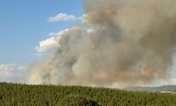 Uşak'ın Sivaslı ilçesinde çıkan orman yangınına müdahale ediliyor