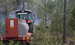 Denizli'nin Çameli ilçesinde orman yangını çıktı