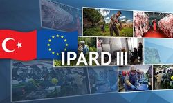 IPARD-III PROGRAMI İÇİN BAŞVURULAR BAŞLADI