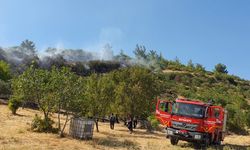 Manisa'da çıkan yangında 3 hektar tarım arazisi zarar gördü