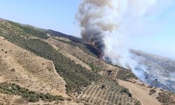 İzmir'de makilik alanda çıkan yangın kontrol altına alındı