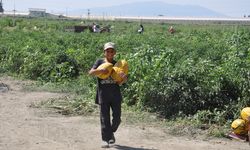 Manisalı çiftçiler yaklaşık 600 ton kavun ve karpuzu ücretsiz dağıttı