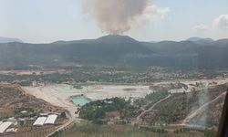 İzmir'in Menderes İlçesinde Çıkan Orman Yangınına Müdahale Ediliyor