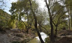 Uşak Tanıtım Gönüllüleri, kanyonun Alfaklar kısmındaki güzellikleri tanıttı