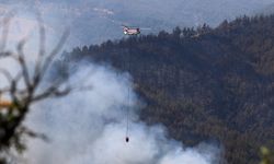 Uşak’ta kavurucu sıcaklar devam edecek ! Orman yangınlarına karşı daha dikkatli olun!