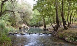 Önceleri su samurları ve balıkların yer aldığı Alfaklar Deresi’nin eski halinden eser yok!