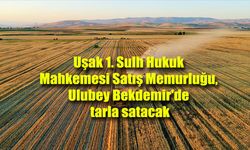 Uşak 1. Sulh Hukuk Mahkemesi Satış Memurluğu, Ulubey Bekdemir'de tarla satacak