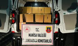 Manisa'nın Yunusemre ilçesinde 2 ton sahte zeytinyağı ele geçirildi.