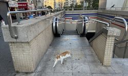 İzmir Metrosu'nda bazı yürüyen merdivenlerin çalışmaması tepkilere neden oluyor