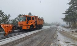 Manisa'da kar yağışı etkili oldu