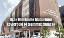 Uşak Milli Emlak Müdürlüğü, köylerdeki 14 taşınmazı satacak