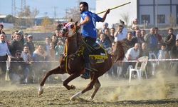 Manisa'da cirit heyecanı yaşandı