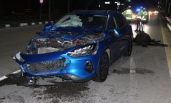 Manisa'da yola çıkan ata çarpan otomobildeki 3 kişi yaralandı