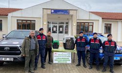 Muğla'da evinde makak ve vervet maymunu besleyen kişiye 10 bin lira ceza