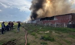 İzmir'de tarım malzemeleri deposunda çıkan yangın kontrol altına alındı