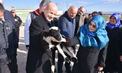 YÖK Başkanı Özvar, AKÜ'nün Eğitim Araştırma ve Uygulama Çiftliği'nde incelemelerde bulundu: