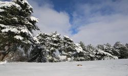 Uşak’a kar yağışı uyarısı