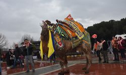 Aydın'da "En Yakışıklı Deve Yarışması" düzenlendi