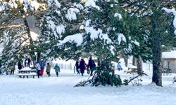 Kütahya Topuk Yayla Tabiat Parkı'nda yeni yılın ilk gününde ziyaretçi yoğunluğu yaşandı