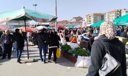 Uşak'taki pazarlarda satılan sebze ve meyve fiyatlarında düşüş!