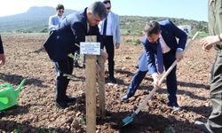 "Kökten Hayata" projesiyle İzmir'de  4 bin fidan dikildi