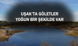 Uşak, sulama göletleri liginde üst sıralarda