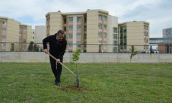 Uşak Eğitim ve Araştırma Hastanesi'nde hemşireler günü için fidan dikildi