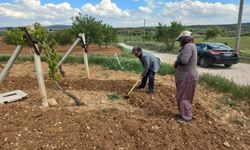 Karahallı'da alın teriyle çalışan çiftçileri ziyaret etti