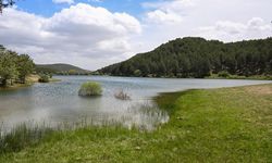 Uşak'ta tatillerde eşsiz bir doğa deneyimi için 7,3 kilometrelik Baltalı Göleti yürüyüş parkuru