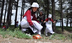 Kütahya'da "Orman Benim" etkinliği düzenlendi