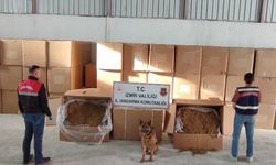 İzmir'de  6 kilo 840 gram kaçak tütün ele geçirildi