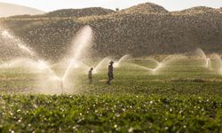 Uşak'ta tarımsal sulama yapan çiftçilere faturalarda kolaylık