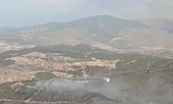 Aliağa'da çıkan orman yangını kontrol altına alındı