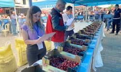 Alaşehir'in en güzel kirazı seçildi