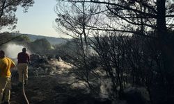 İzmir'de mangal yapmak istedi, orman yaktı!