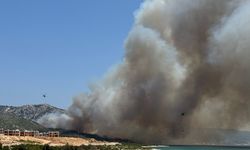 İzmir Karaburun'da orman yangını çıktı