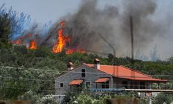 Foça'daki orman yangınına kaynak sebep olmuş!