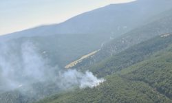 Çivril'de ki çıkan orman yangını kontrol altına alındı