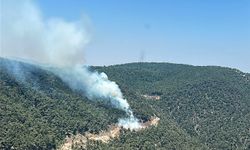 Yunusemre'deki orman yangınına müdahale ediliyor !