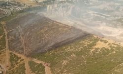 İzmir'de makilik alandaki yangın yoğun uğraşlarla  söndürüldü