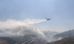 Uşak'ın komşusu Kula'daki orman yangını kontrol altına alındı