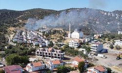 İzmir'de iki farklı bölgede çıkan yangın söndürüldü