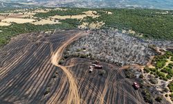 Uşak Çınarcık'ta kontrol altına alınan yangın saman balya makinesinden çıktı! Tarla sahibi hafif yaralandı!