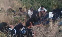 Didim'de düzensiz göçmen ve insan kaçakçısı yakalandı!
