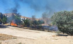 Bodrum'da çıkan yangın söndürüldü