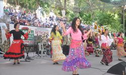 İzmir'de kiraz ve meyve fidanı festivali!