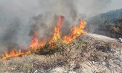 Uşak'ın komşusu Kula Encekler'deki yangına havadan ve karadan müdahale ediliyor