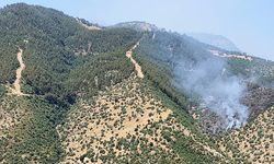 Alaşehir'de ki orman yangını kontrol altına alındı