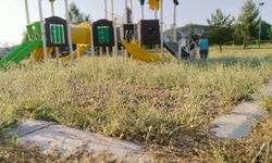 Uşak'ta oyun parkındaki çocuklar diken üstündeler!